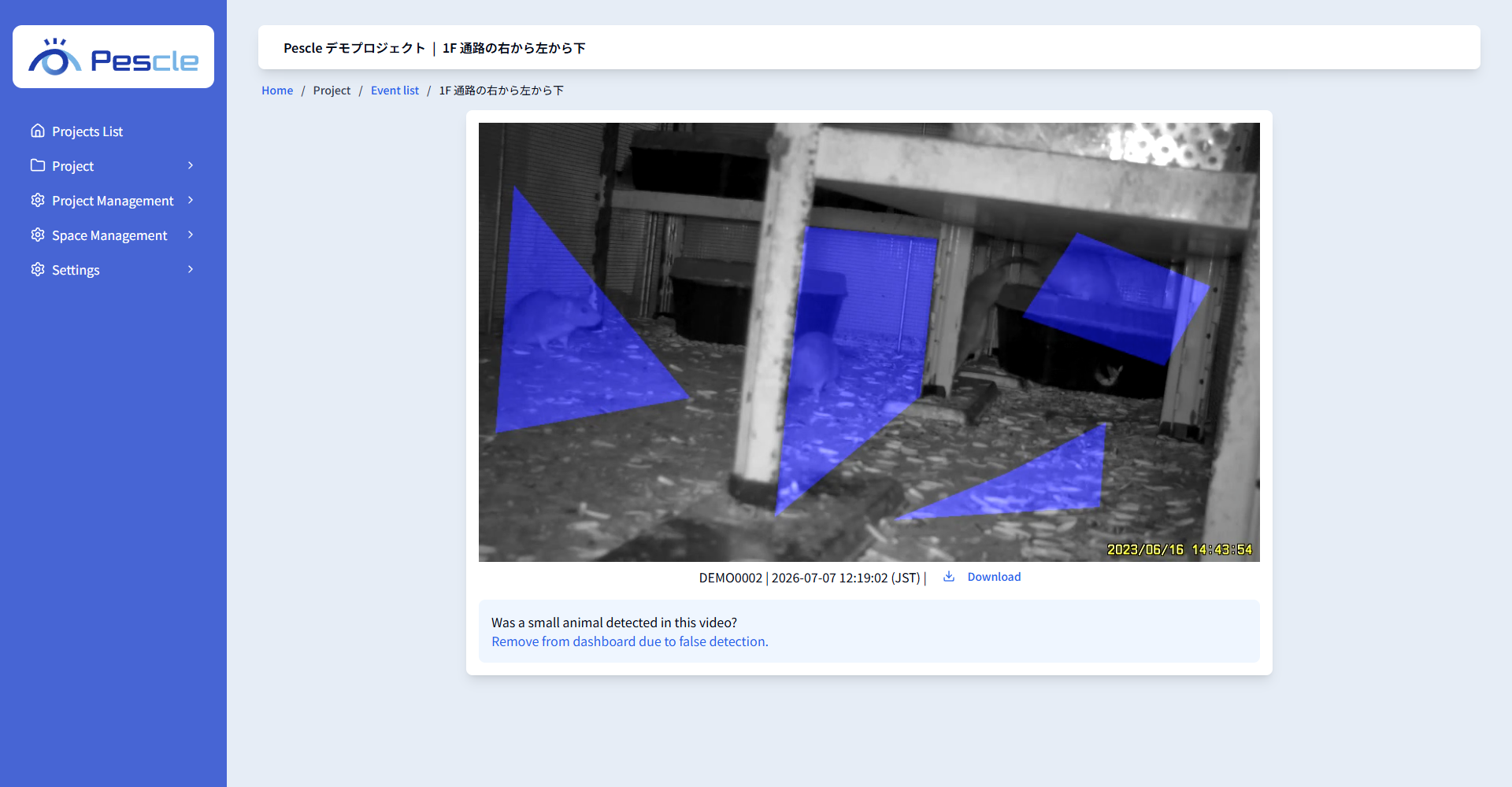 Detection video playback screen