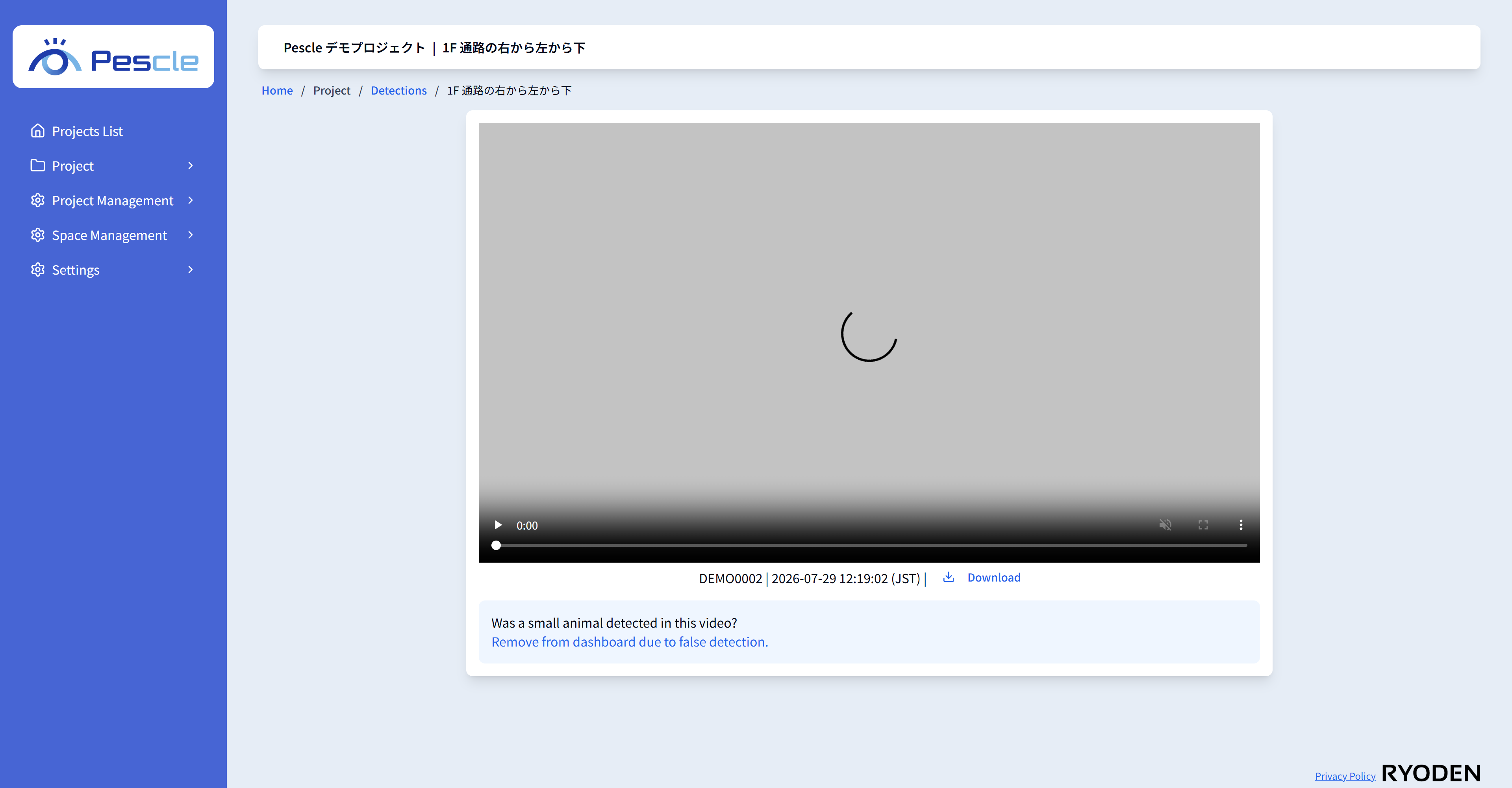 Video playback screen