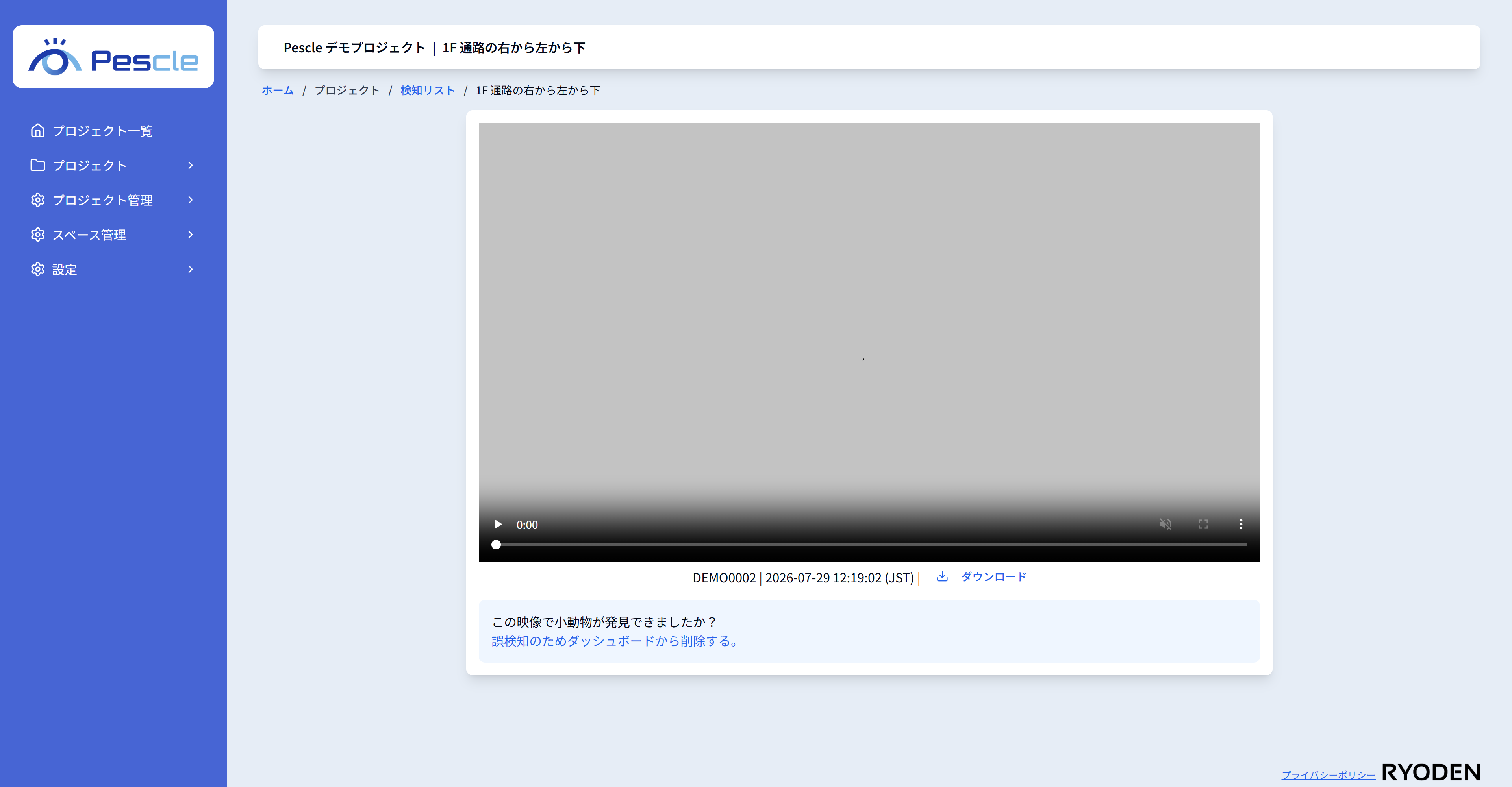 動画再生画面